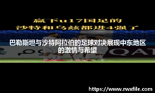 VSport官网入口vsport体育在线官网